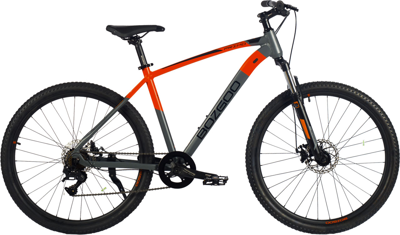 BOZGOO Primo 29 30650₽