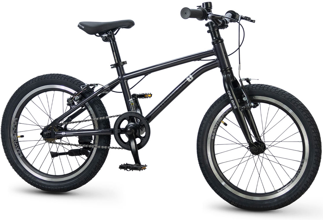 Купить MAXISCOO 1Bike 18 2026