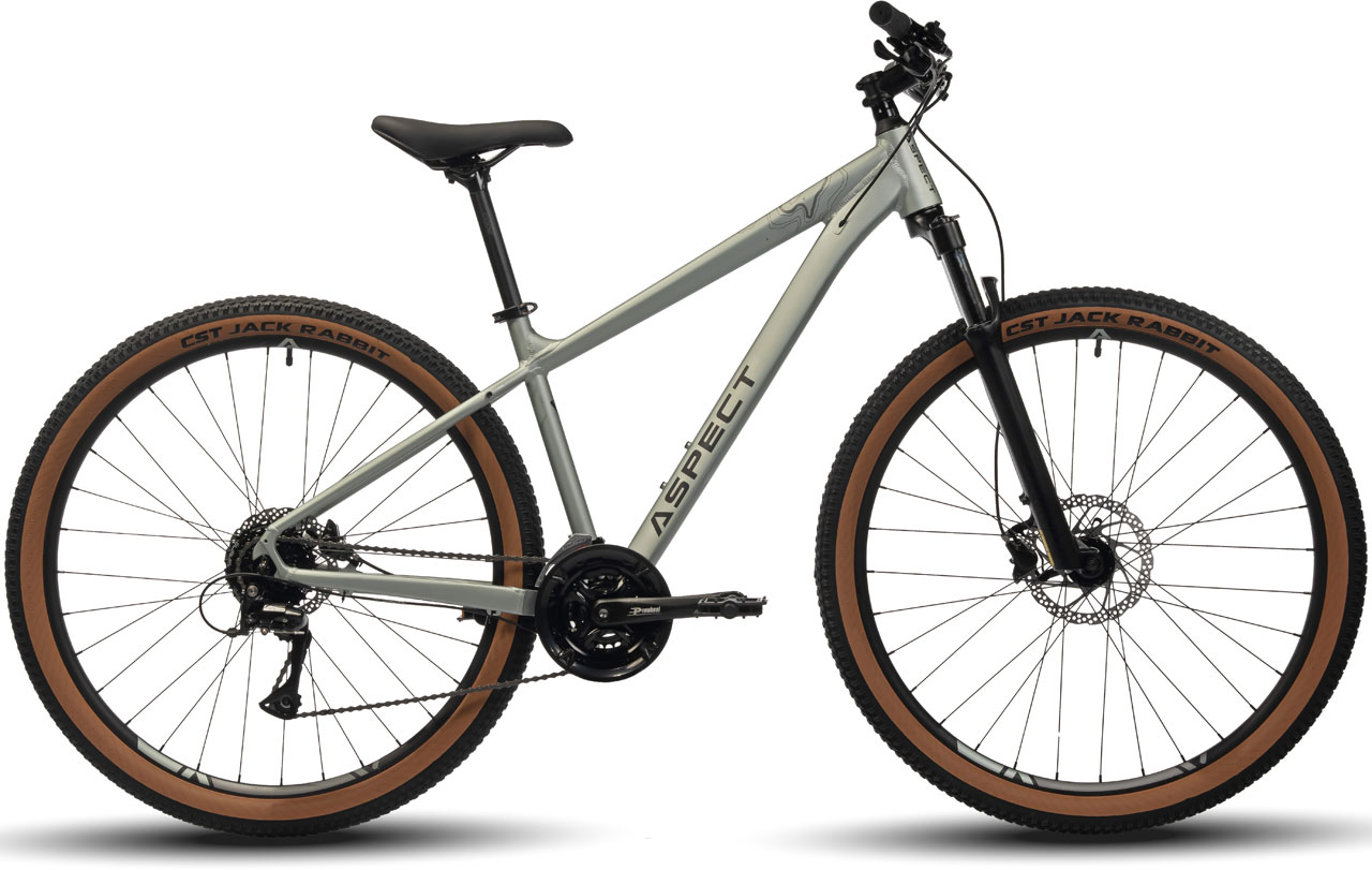 ASPECT Legend 29 2024 53490₽