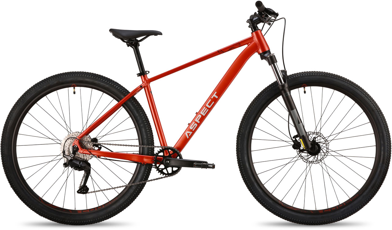 ASPECT Nickel Pro 29 2026 46990₽