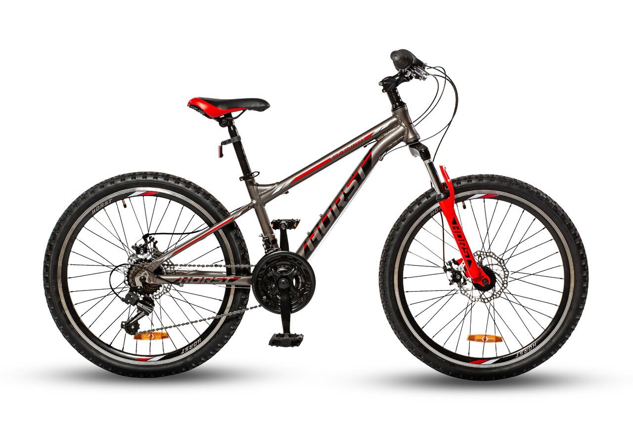 HORST Rainer 24 Disc 2020 Купить HORST Rainer 24 Disc 2020