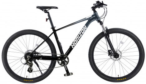 HAEVNER Horizon 29 2026