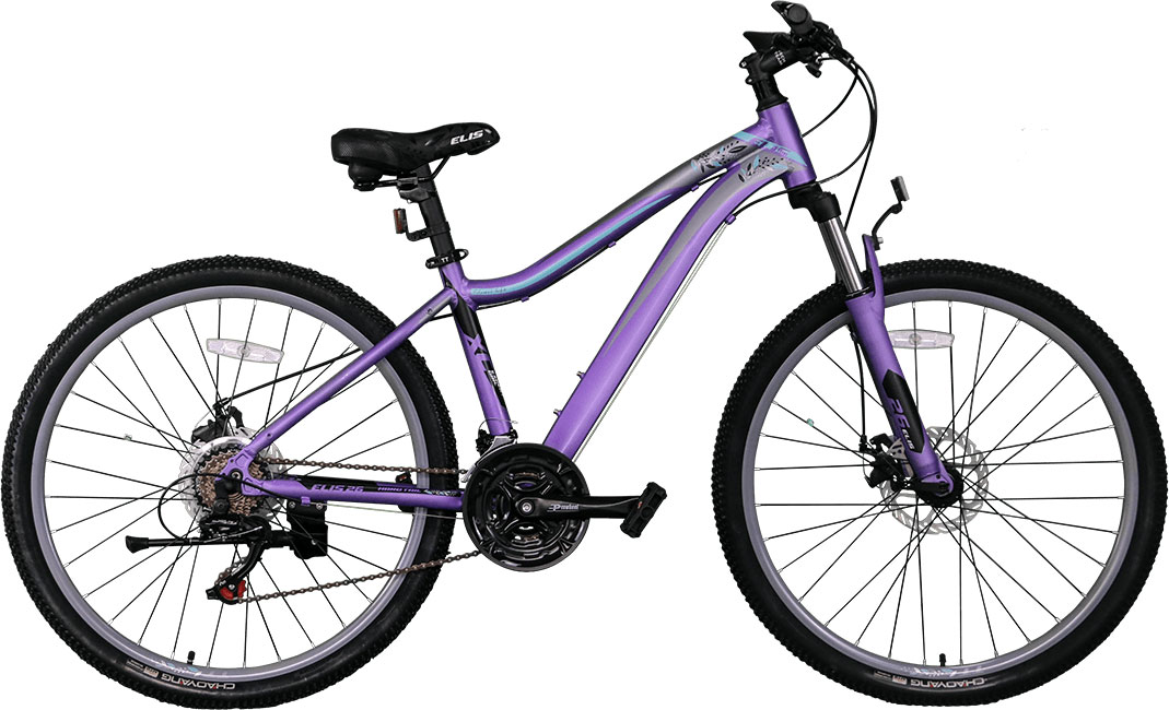 TECH TEAM Elis 26 2021 36370₽