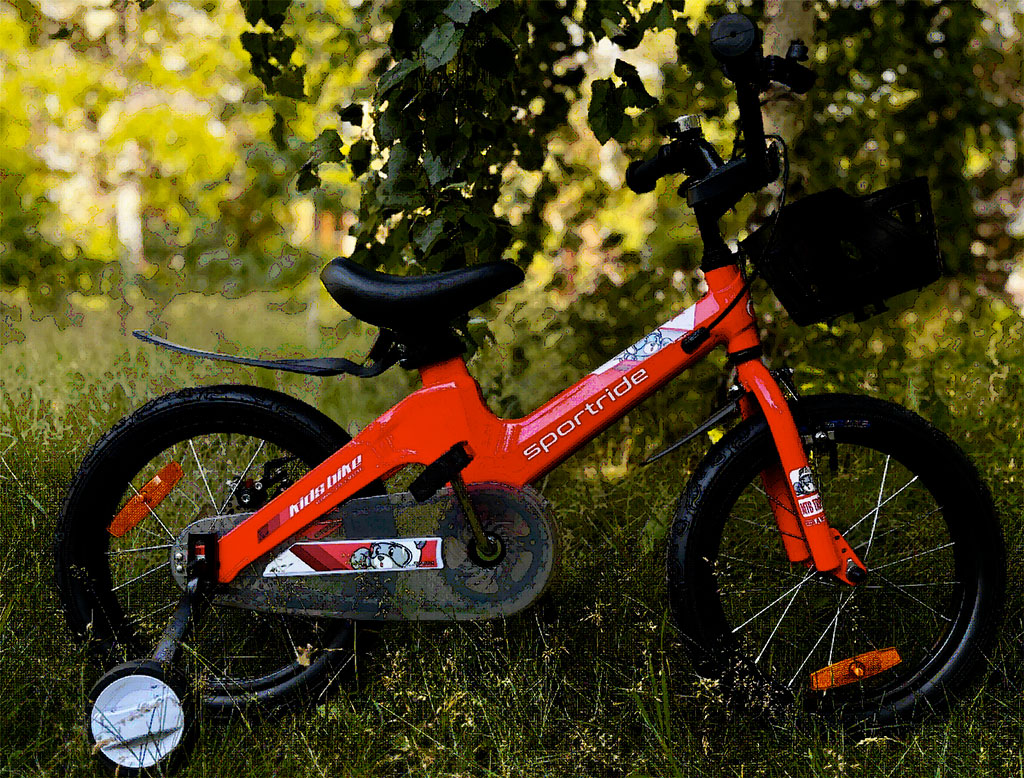 Купить SPORTRIDE Kids 18 Light 2025