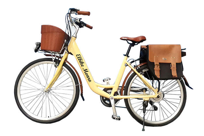 Купить Электровелосипед Elbike Monro