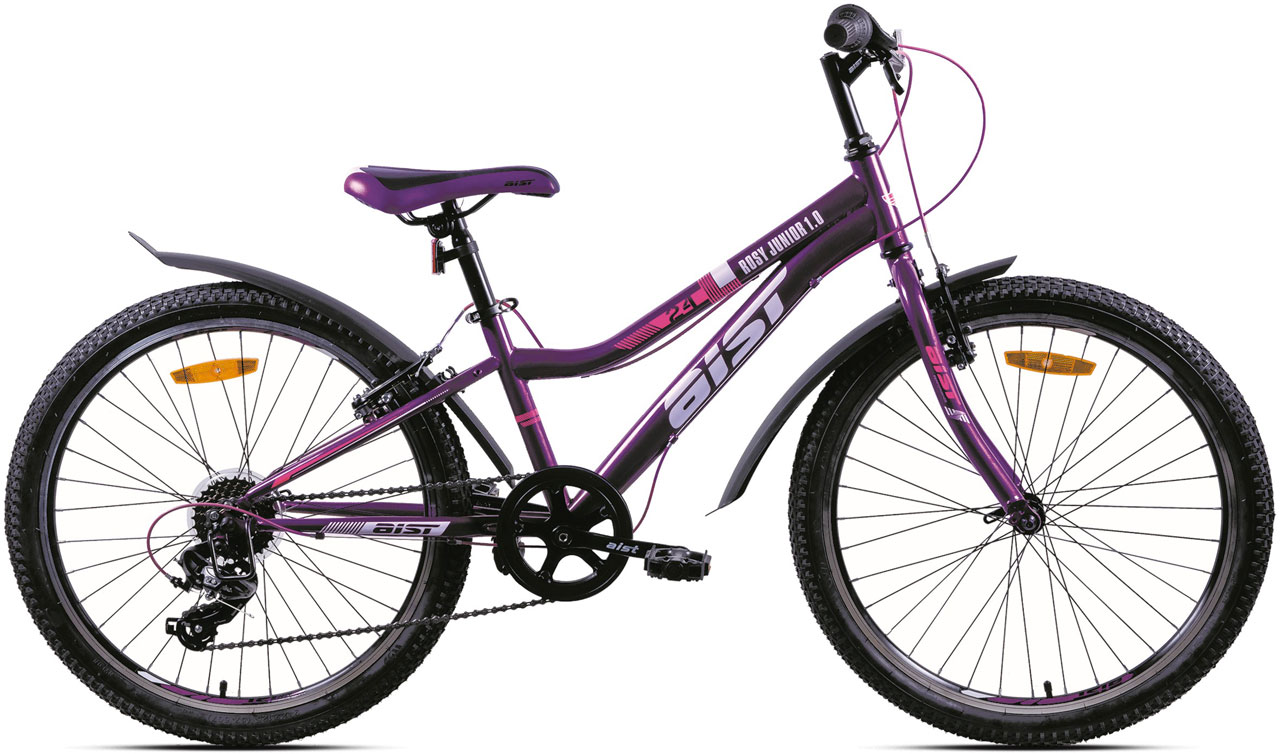 AIST Rosy Junior 10 2024 19300₽