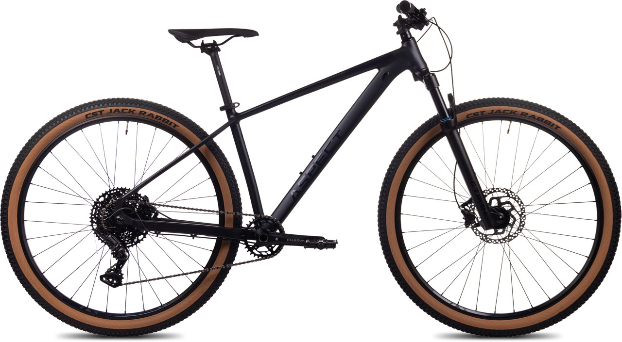 ASPECT Amp 29 2024 102990₽