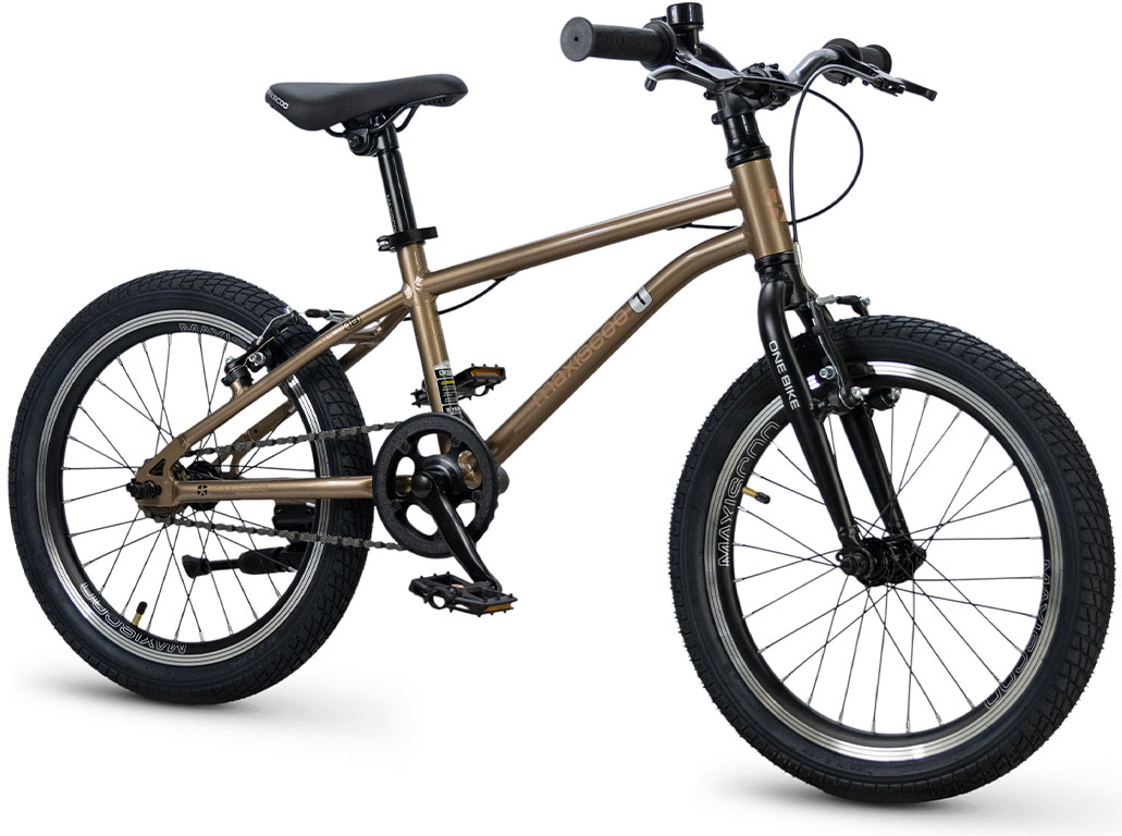 Купить MAXISCOO 1Bike 18 2026