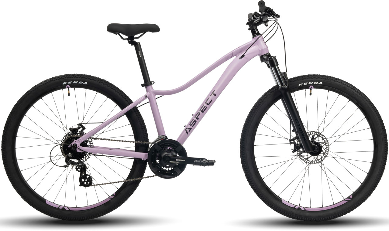 ASPECT Alma 275 2024 42490₽