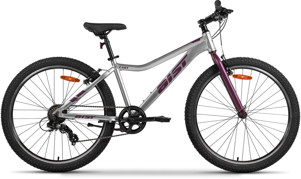 AIST Easy 26 2025 24900₽