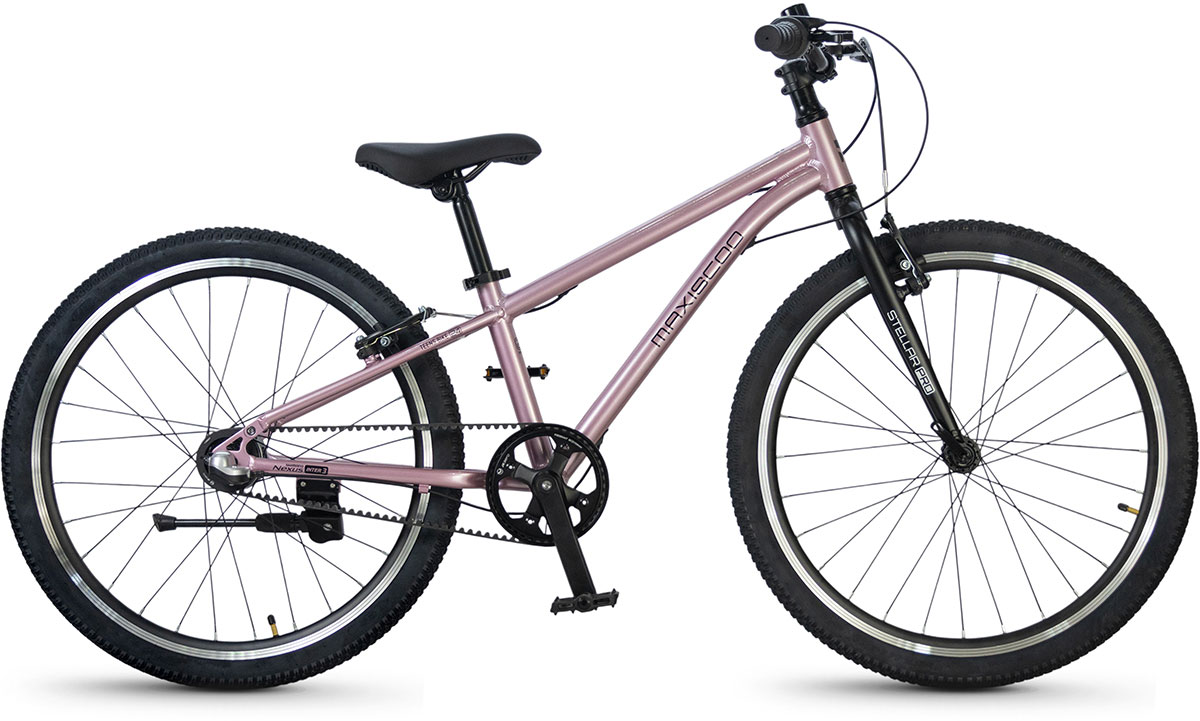 MAXISCOO Stellar Pro 24 2026 42900₽