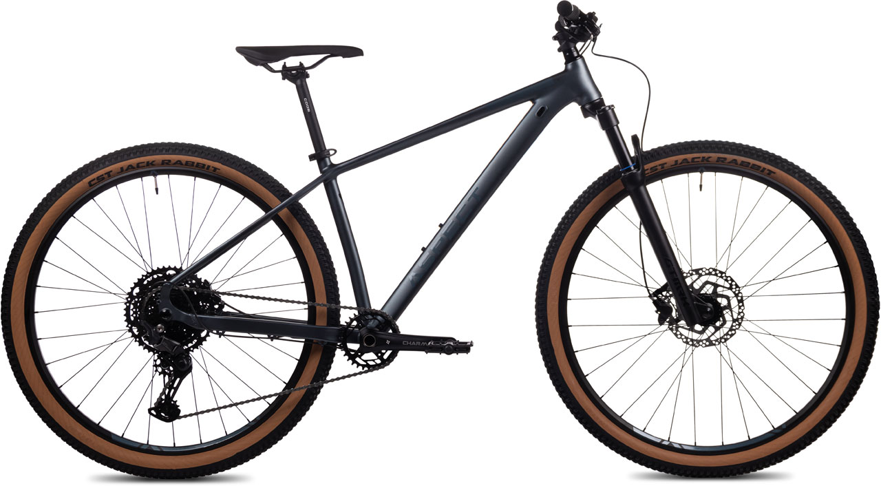 ASPECT Amp Pro 29 2024 107990₽