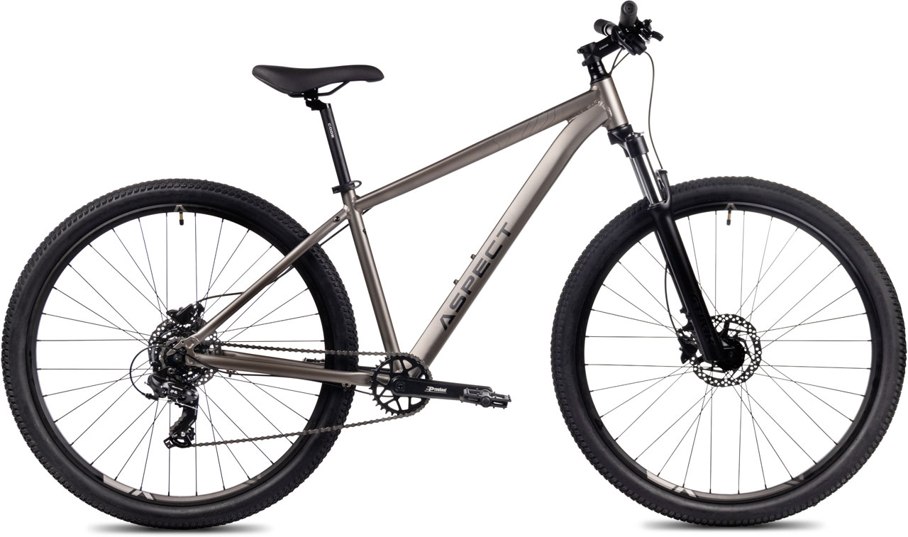 ASPECT Ideal HD 29 2024 43490₽