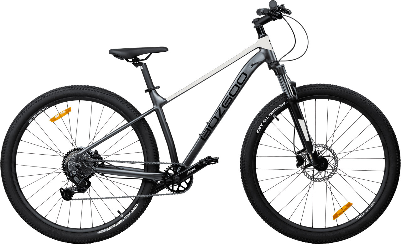 BOZGOO Grande 29 2026