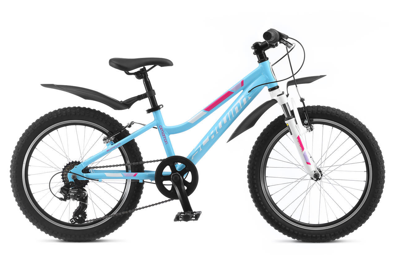SCHWINN Cimarron 2019 Купить SCHWINN Cimarron 2019