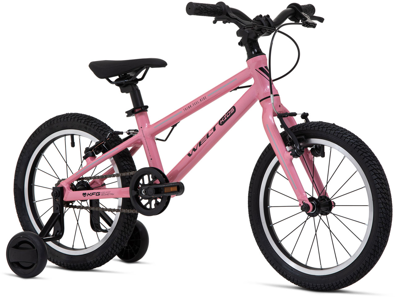 Купить WELT Teddy 16 2026