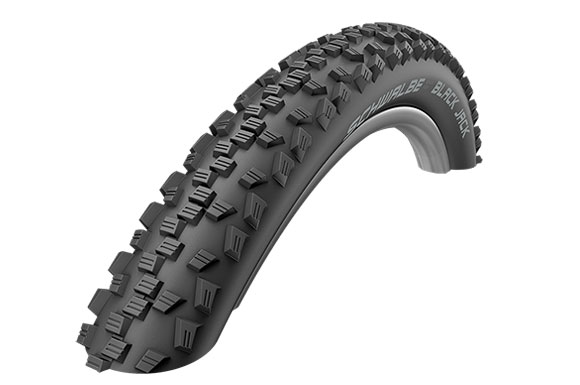 Купить Покрышка SCHWALBE 24x1.90 (47-507)