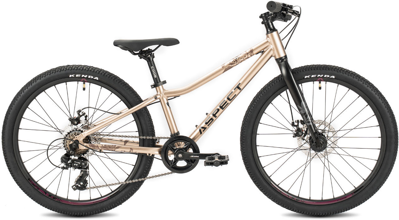 ASPECT Aura Lite 24 2026