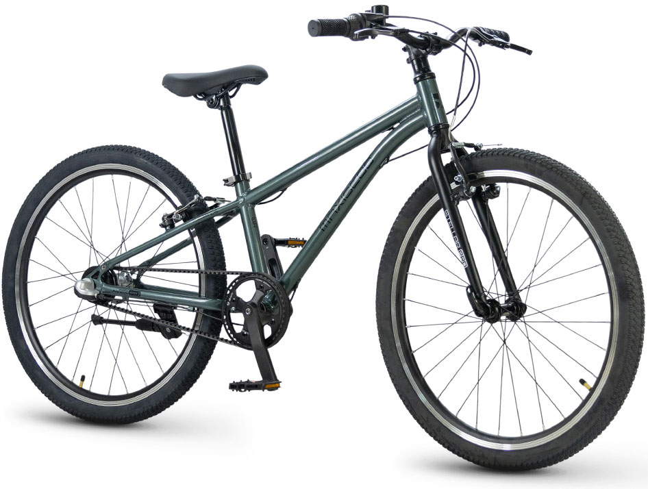 Купить MAXISCOO Stellar Pro 24 2026