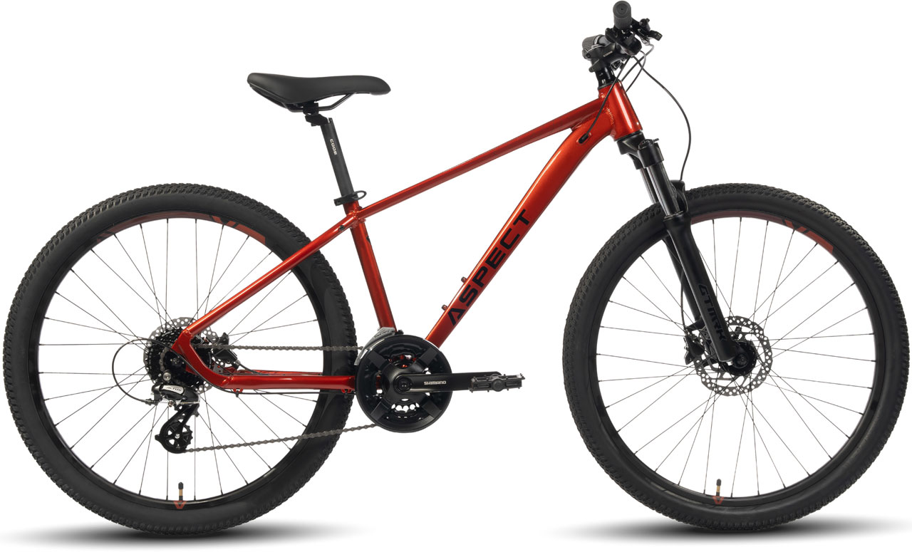 ASPECT Nickel 26 2024 47990₽