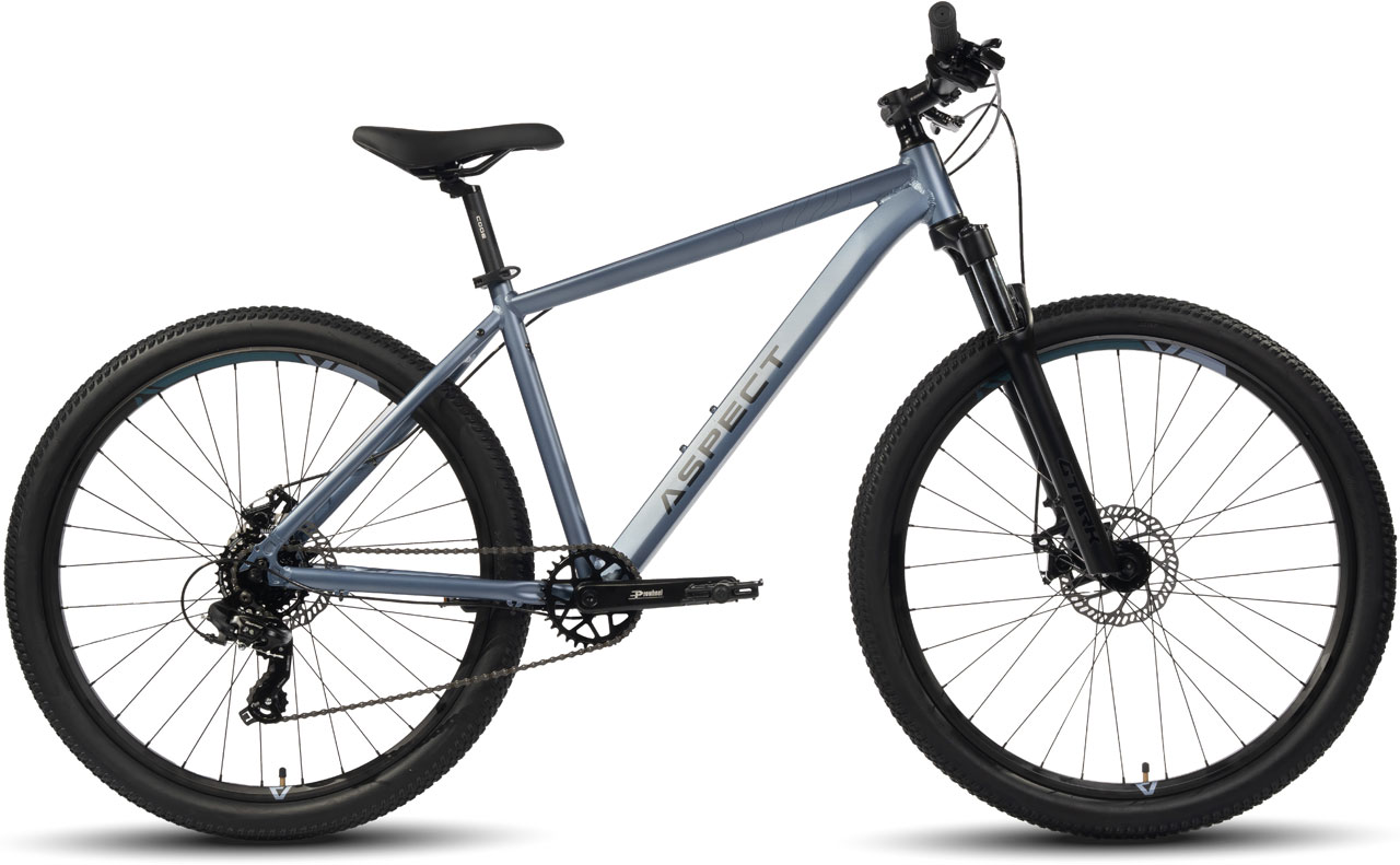 ASPECT Ideal 275 2024 39490₽