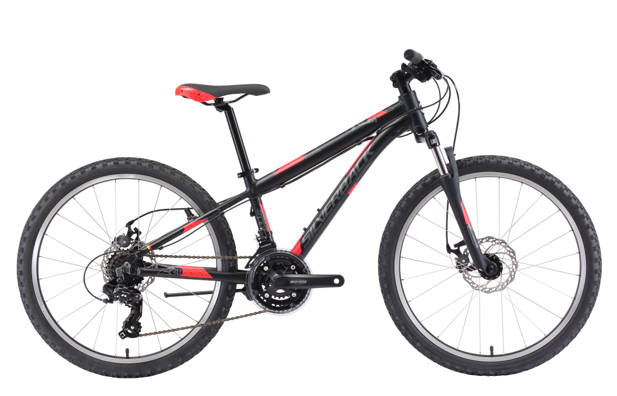 Купить SILVERBACK SPYKE 24 Disc 2018