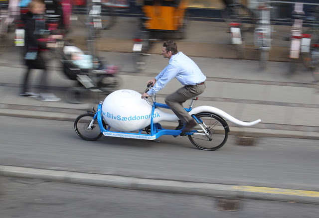 велосипед для перевозки спермы.jpg