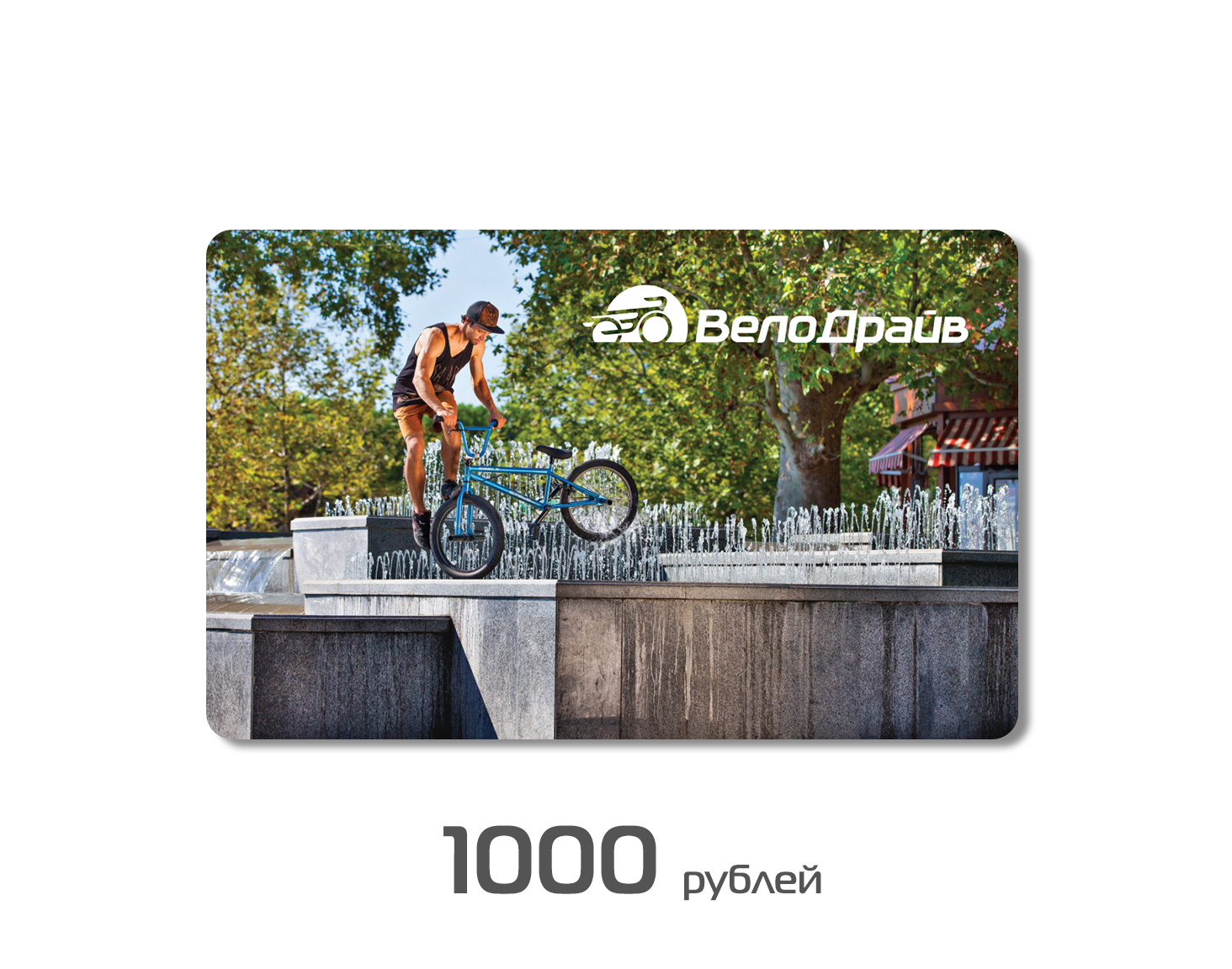 1000.jpg 1000.jpg