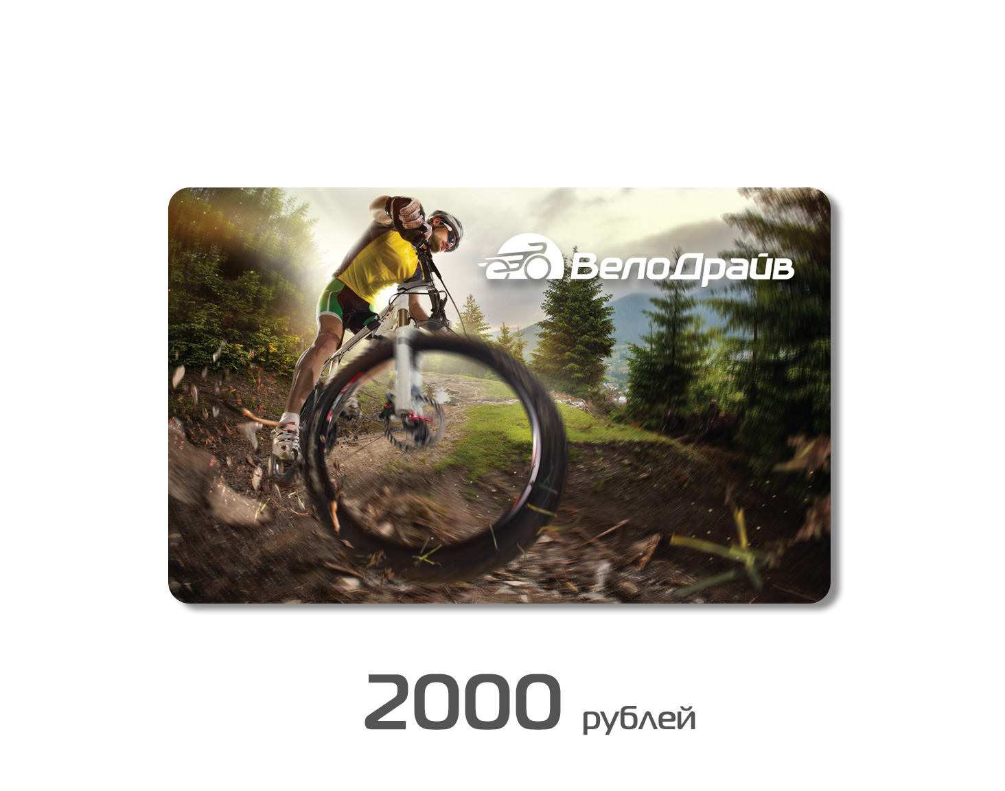 2000.jpg 2000.jpg