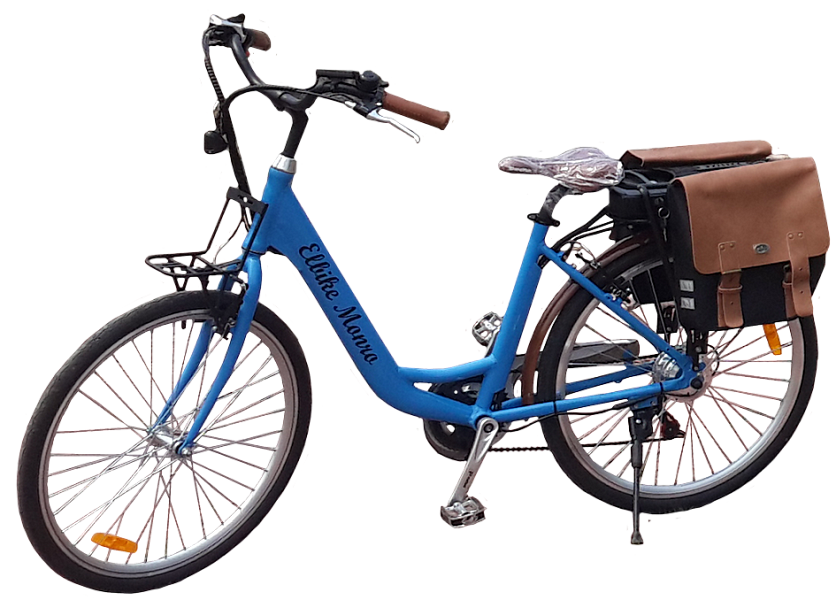 Купить Электровелосипед Elbike Monro
