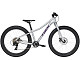 Купить TREK Roscoe 24 2020