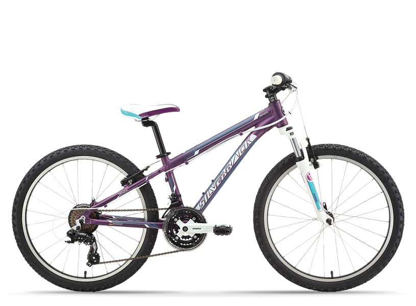 Купить SILVERBACK Senza 24 2015