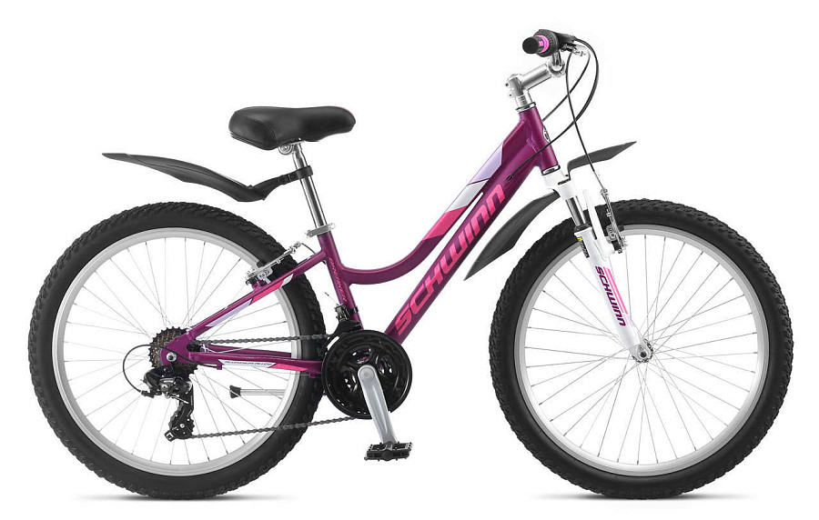 Купить SCHWINN Breaker 24 girl 2020