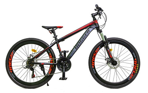mtb phoenix 26