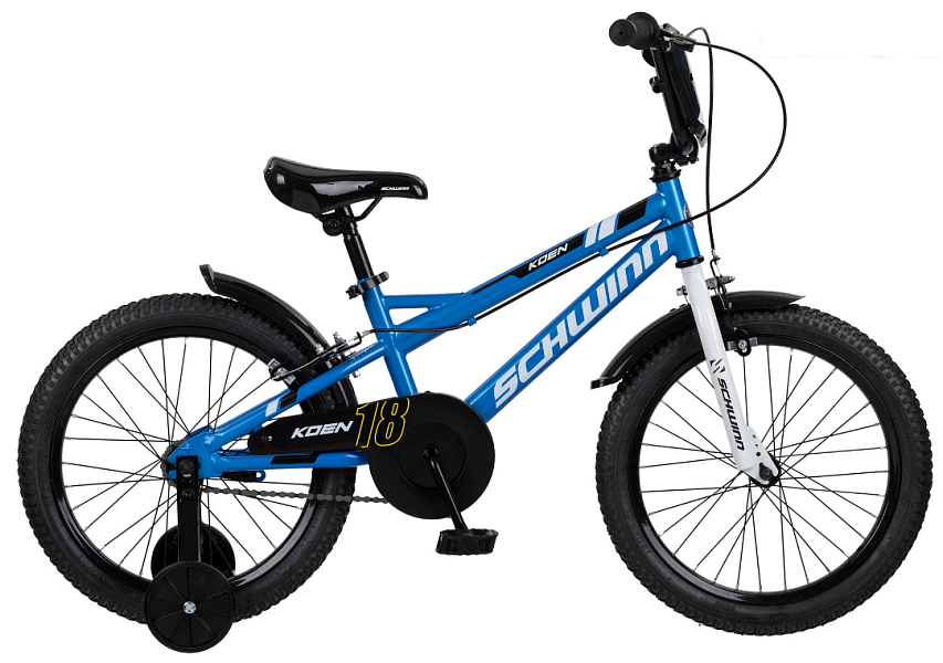 Купить SCHWINN Koen 18 2020