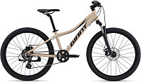 Купить GIANT XtC Jr Disc 24 2022 - СКИДКА 49%.