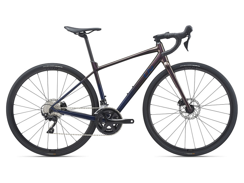 Giant avail discount