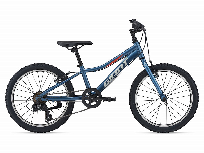 Купить GIANT XTC Jr 20 Lite 2021