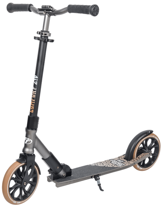 Купить Самокат TECH TEAM 210R Comfort 2021