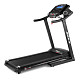 Купить Беговая дорожка BH FITNESS Pioneer R2 TFT