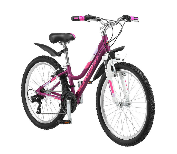 Купить SCHWINN Breaker 24 girl 2020