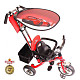 Купить Lexus Trike Original Next