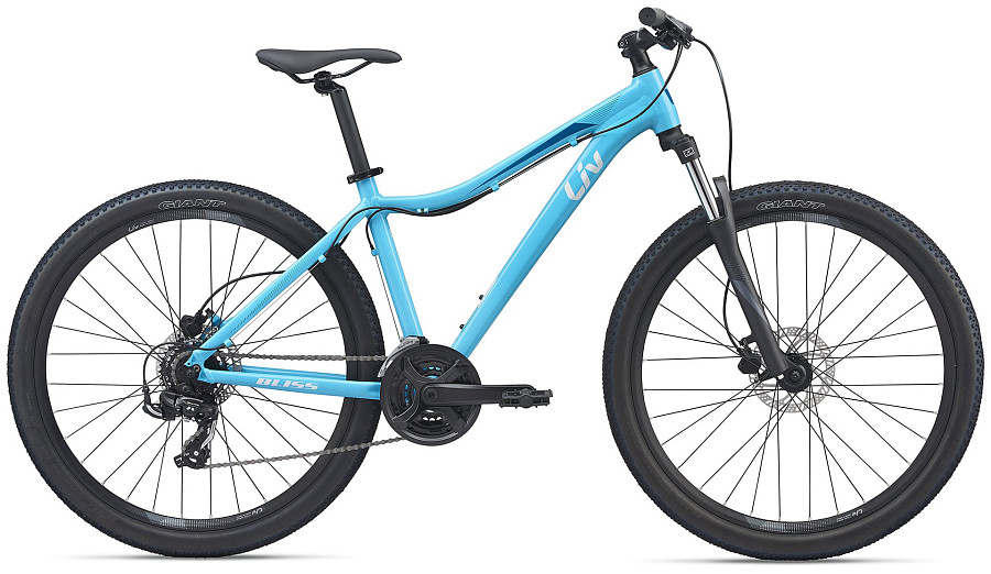 Giant bliss 2 2025