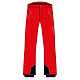 Купить Штаны FISCHER Racines men