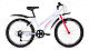 Купить ALTAIR MTB HT 24 low 2019
